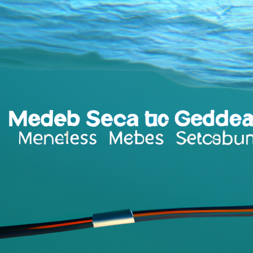 US Government Backs Google and Meta's Request to Use Undersea Data Cable to Asia